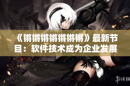 《锵锵锵锵锵锵锵》最新节目：软件技术成为企业发展新动力