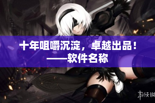 十年咀嚼沉淀，卓越出品！——软件名称