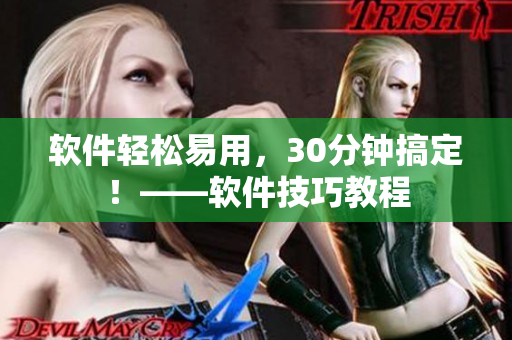 软件轻松易用，30分钟搞定！——软件技巧教程