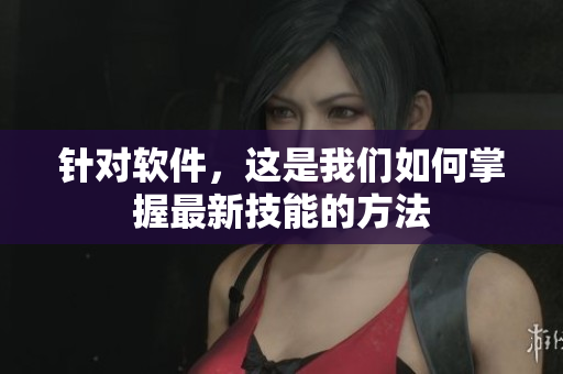 针对软件，这是我们如何掌握最新技能的方法