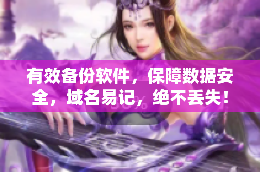 有效备份软件，保障数据安全，域名易记，绝不丢失！