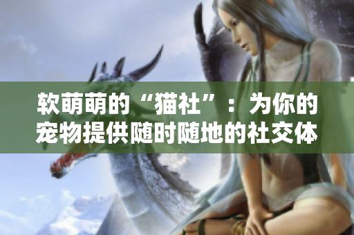 软萌萌的“猫社”：为你的宠物提供随时随地的社交体验