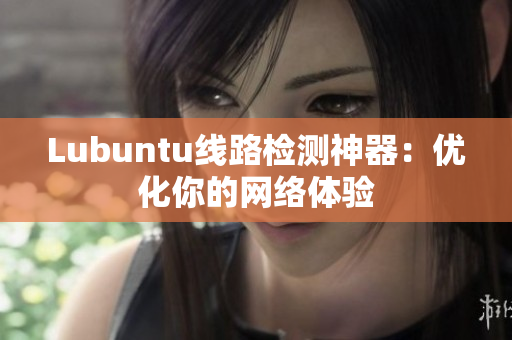 Lubuntu线路检测神器：优化你的网络体验