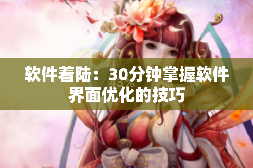 软件着陆：30分钟掌握软件界面优化的技巧