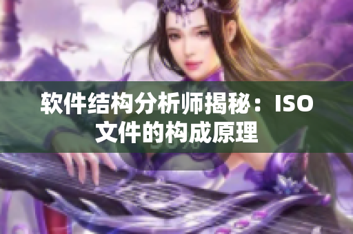 软件结构分析师揭秘：ISO文件的构成原理