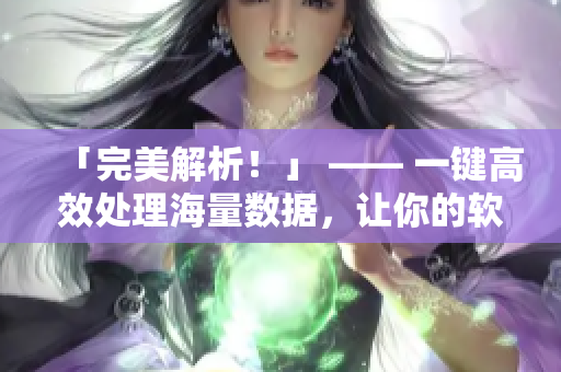 「完美解析！」 —— 一键高效处理海量数据，让你的软件操作更流畅