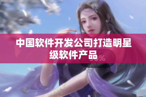 中国软件开发公司打造明星级软件产品