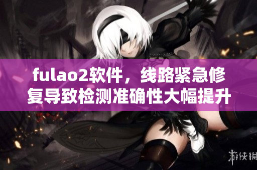 fulao2软件，线路紧急修复导致检测准确性大幅提升