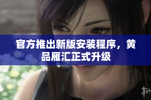 官方推出新版安装程序，黄品雁汇正式升级