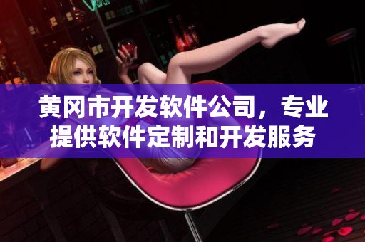 黄冈市开发软件公司，专业提供软件定制和开发服务