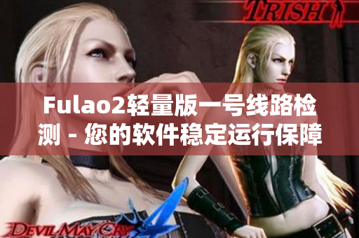 Fulao2轻量版一号线路检测 - 您的软件稳定运行保障
