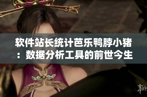 软件站长统计芭乐鸭脖小猪：数据分析工具的前世今生