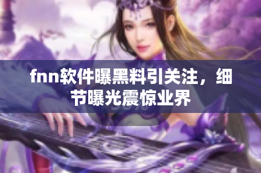 fnn软件曝黑料引关注，细节曝光震惊业界