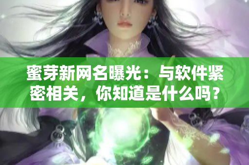 蜜芽新网名曝光：与软件紧密相关，你知道是什么吗？