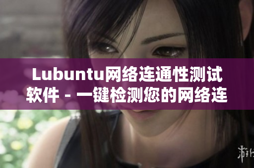 Lubuntu网络连通性测试软件 - 一键检测您的网络连接！