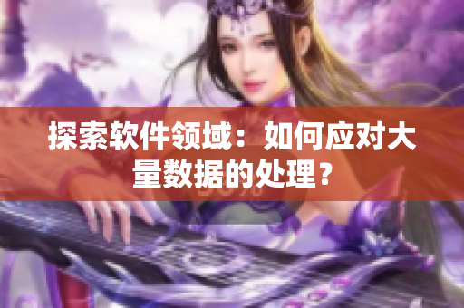 探索软件领域：如何应对大量数据的处理？