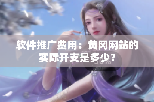 软件推广费用：黄冈网站的实际开支是多少？