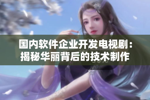国内软件企业开发电视剧：揭秘华丽背后的技术制作
