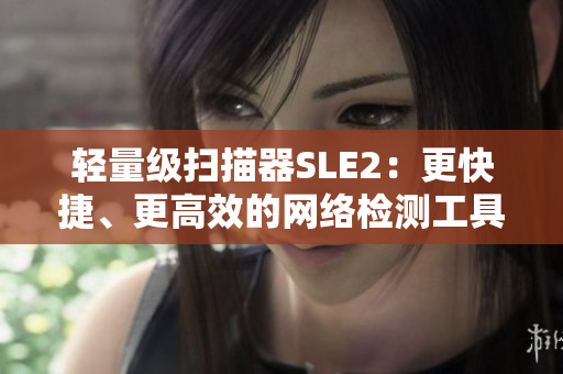 轻量级扫描器SLE2：更快捷、更高效的网络检测工具