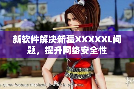 新软件解决新疆XXXXXL问题，提升网络安全性