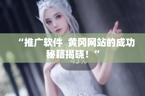“推广软件  黄冈网站的成功秘籍揭晓！”
