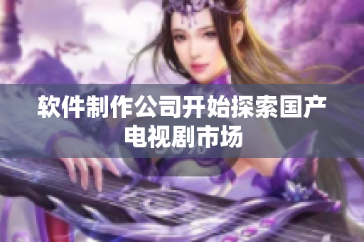 软件制作公司开始探索国产电视剧市场