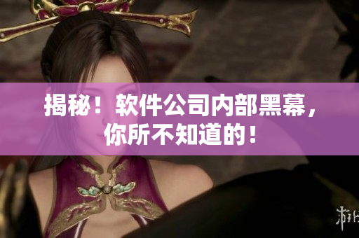 揭秘！软件公司内部黑幕，你所不知道的！
