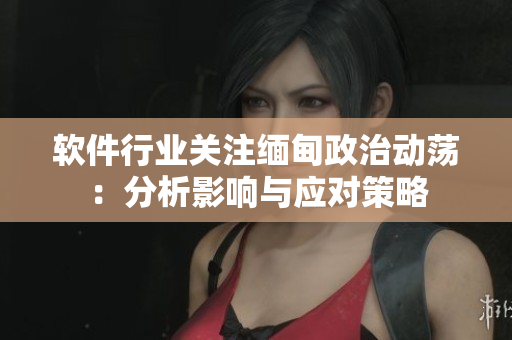 软件行业关注缅甸政治动荡：分析影响与应对策略