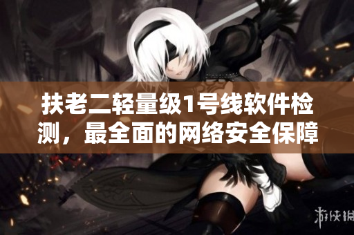扶老二轻量级1号线软件检测，最全面的网络安全保障