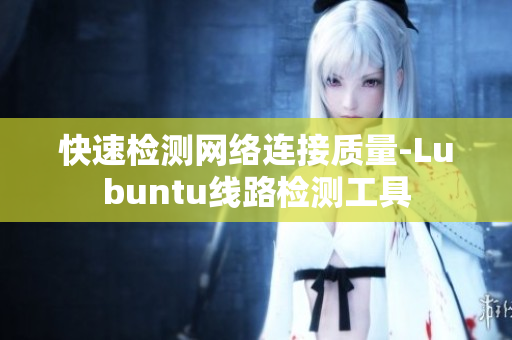 快速检测网络连接质量-Lubuntu线路检测工具
