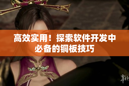 高效实用！探索软件开发中必备的铜板技巧