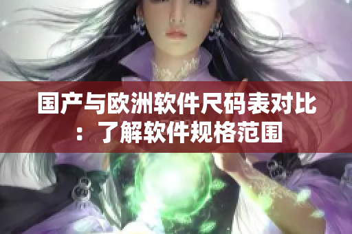 国产与欧洲软件尺码表对比：了解软件规格范围