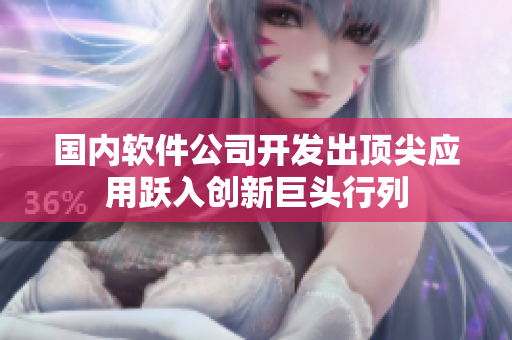 国内软件公司开发出顶尖应用跃入创新巨头行列