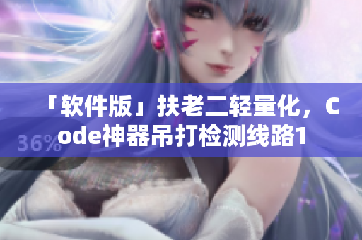「软件版」扶老二轻量化，Code神器吊打检测线路1