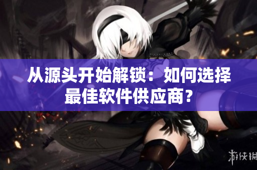 从源头开始解锁：如何选择最佳软件供应商？