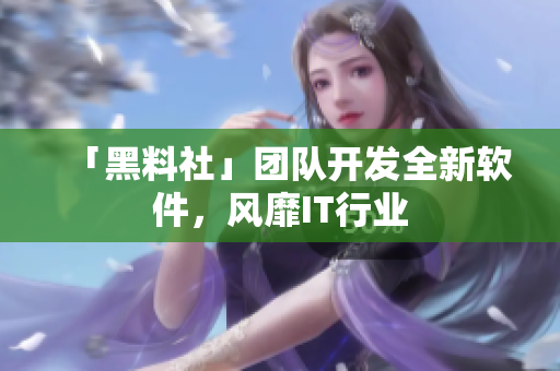 「黑料社」团队开发全新软件，风靡IT行业