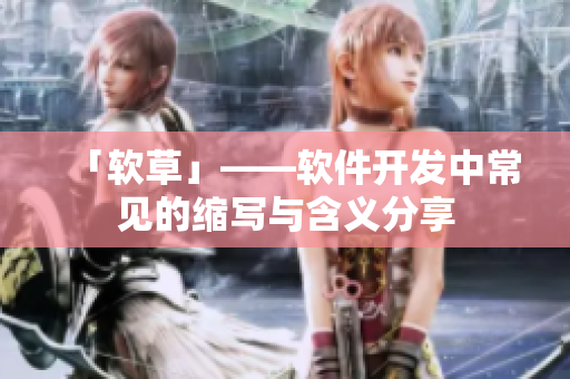 「软草」——软件开发中常见的缩写与含义分享