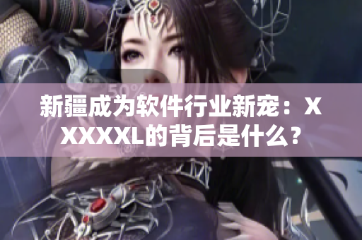 新疆成为软件行业新宠：XXXXXL的背后是什么？