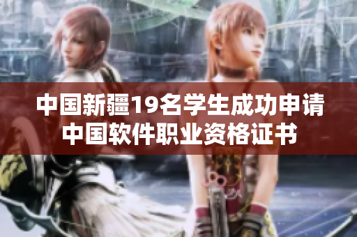 中国新疆19名学生成功申请中国软件职业资格证书