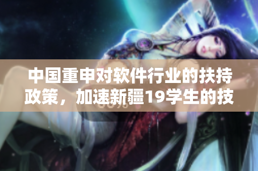 中国重申对软件行业的扶持政策，加速新疆19学生的技术培训