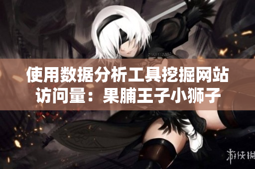 使用数据分析工具挖掘网站访问量：果脯王子小狮子