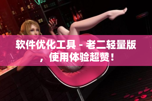 软件优化工具 - 老二轻量版，使用体验超赞！