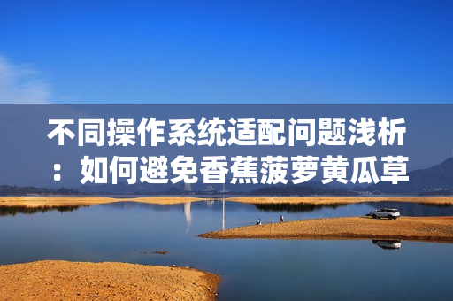不同操作系统适配问题浅析：如何避免香蕉菠萝黄瓜草莓樱桃榴莲的味道？