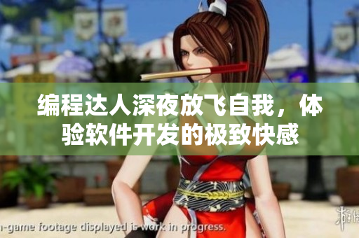 编程达人深夜放飞自我，体验软件开发的极致快感