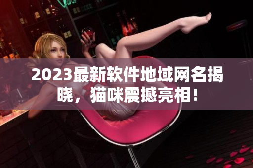 2023最新软件地域网名揭晓，猫咪震撼亮相！
