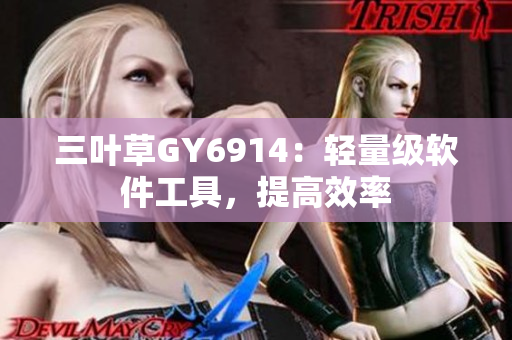 三叶草GY6914：轻量级软件工具，提高效率