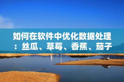 如何在软件中优化数据处理：丝瓜、草莓、香蕉、茄子与土豆的的启示