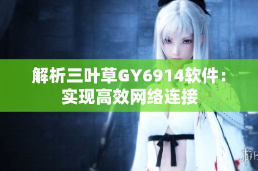 解析三叶草GY6914软件：实现高效网络连接