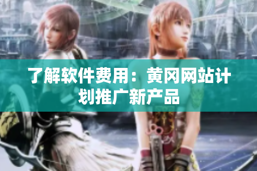 了解软件费用：黄冈网站计划推广新产品