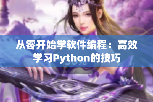 从零开始学软件编程：高效学习Python的技巧